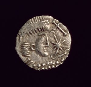 Thrymsa, type runique 